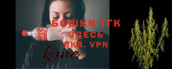 дмт Новодвинск