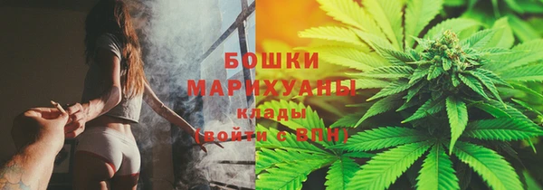 дмт Новодвинск