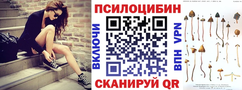 Псилоцибиновые грибы MAGIC MUSHROOMS  где купить наркоту  Шлиссельбург 