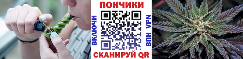 shop Telegram  Шлиссельбург  Марихуана THC 21% 